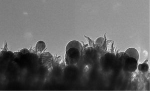 Nanospyd af kulstof, som kan omdanne CO2 til etanol